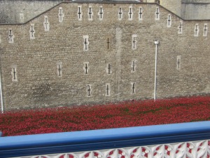 Red Poppies at the Tower of London